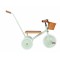 Rover-Banwood-trike-mint-6.jpg