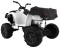 Ramiz-Quad-XL-ATV-white-3.jpg