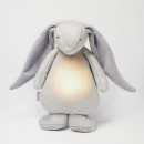 moonie-silver-1.jpg