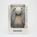 moonie-silver-2.jpg