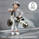 ua-Tricycle-4TRIKE-Silver-Grey02.jpg