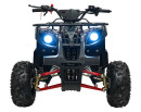 wildpeak-110cc-04.jpg