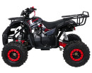 wildpeak-110cc-05.jpg