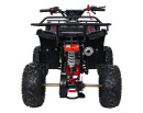 wildpeak-110cc-06.jpg
