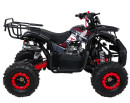 wildpeak-110cc-07.jpg