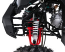 wildpeak-110cc-10.jpg