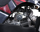 wildpeak-110cc-12.jpg
