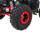 wildpeak-110cc-13.jpg