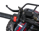 wildpeak-110cc-16.jpg